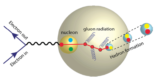 Quark probing nuclei