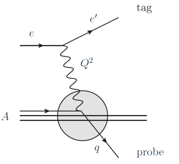 Tag and probe approach jet EIC